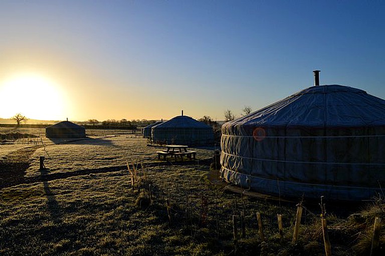 Yurts (Shaftesbury, England, United Kingdom)