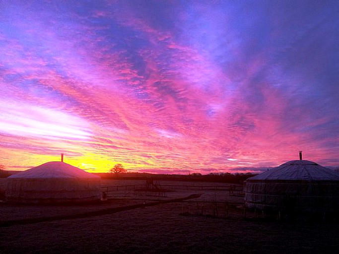 Yurts (Shaftesbury, England, United Kingdom)