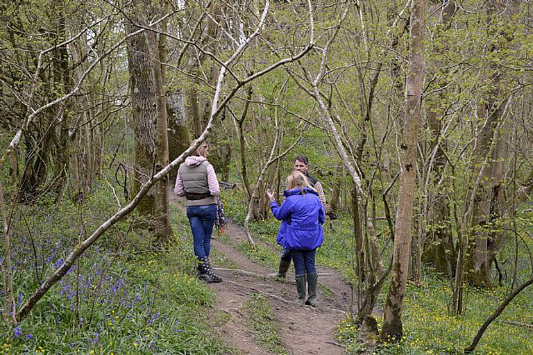 Yurts (Shaftesbury, England, United Kingdom)