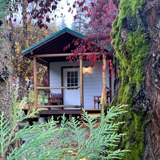 Cozy Studio-Style Cabin for a Glamping Getaway in Clearwater, Oregon | Cabins (Idleyld Park, Oregon, United States of America)