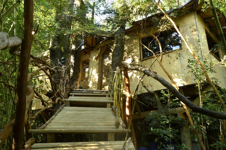 Tree Houses (Pucón, Araucanía, Chile)