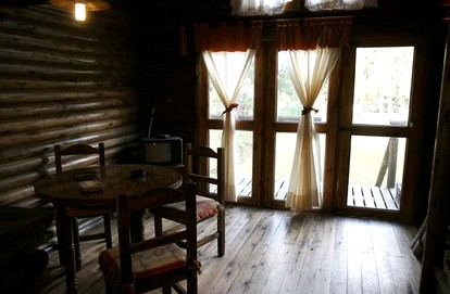 undefined photo 5