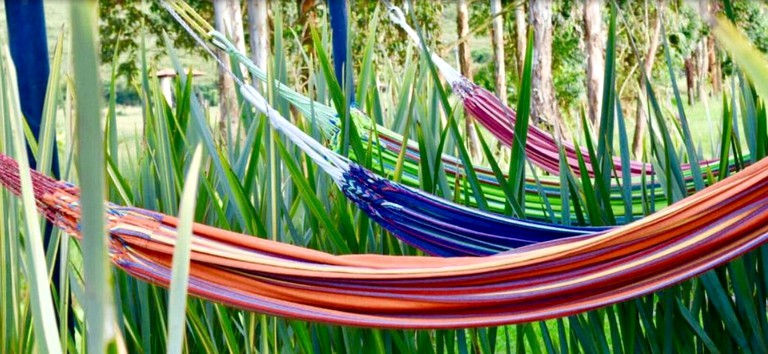 Nature Lodges (Santa Rosa de Cabal, Risaralda, Colombia)