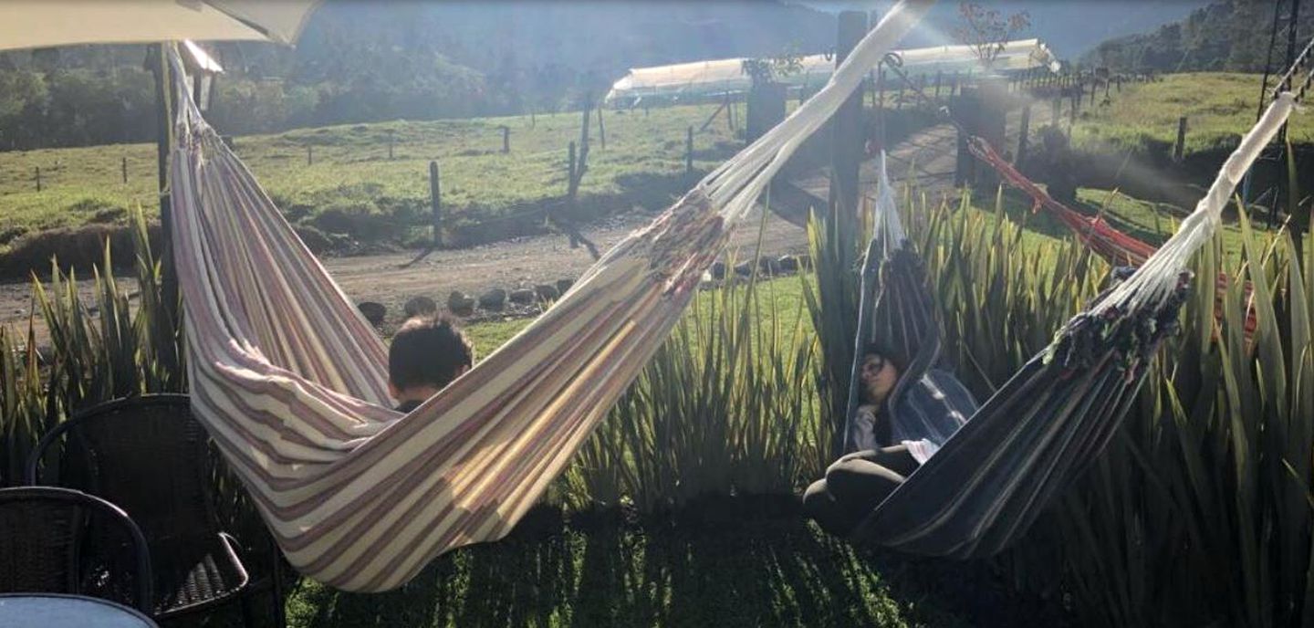 Idyllic Accommodation for a Getaway to the Coffee Triangle of Colombia