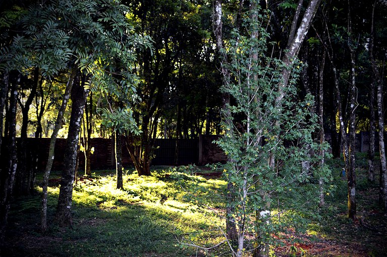 Cabins (Oberá, Misiones, Argentina)