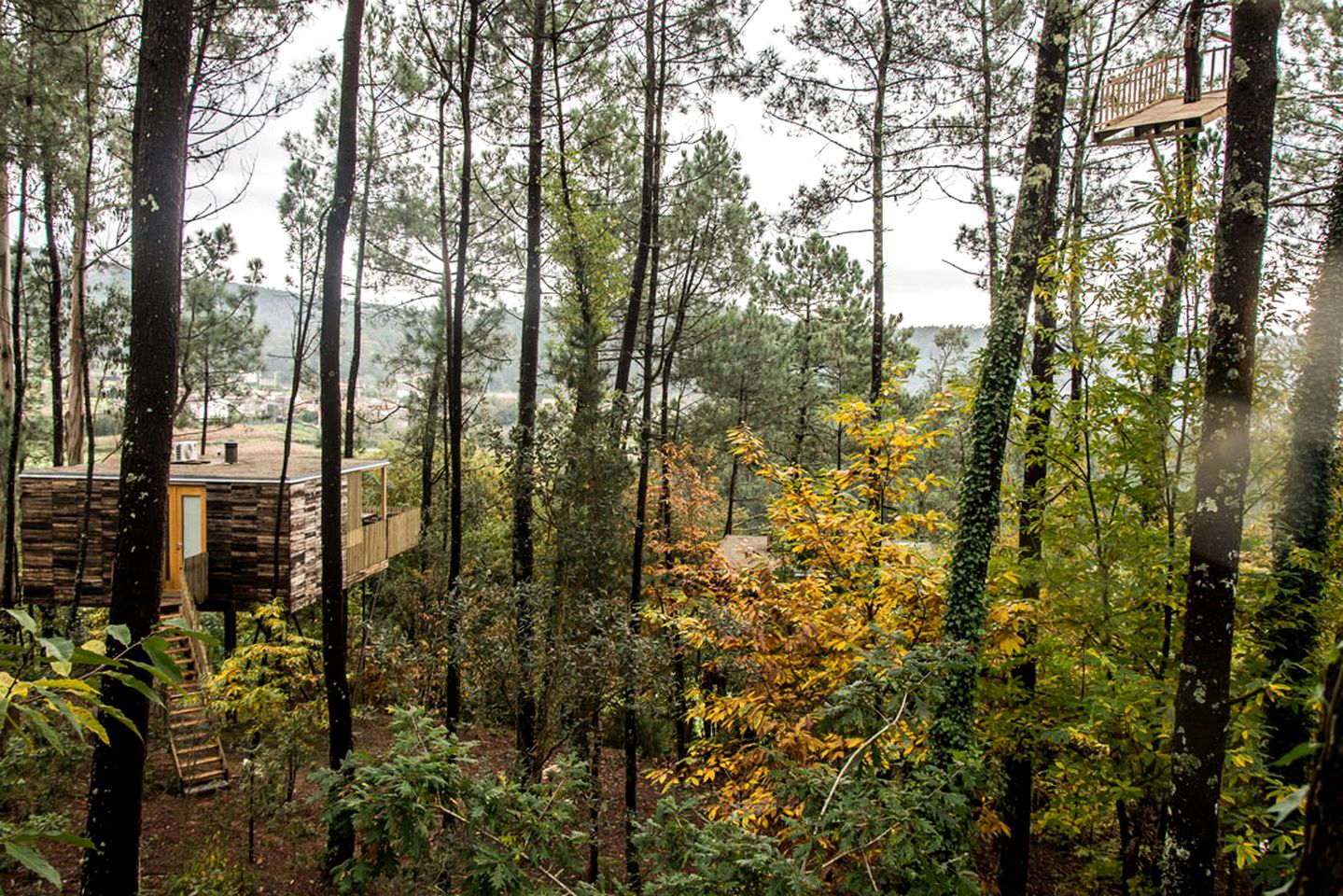 Luxury Glamping Tree House in Galicia, Spain, with Private Outdoor Hot Tub