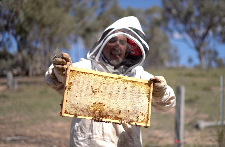 Tiny Houses (Australia, Windeyer, New South Wales)