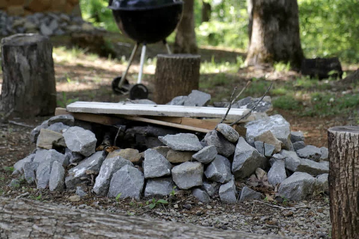 Pet Friendly Log Cabin with Firepit near Green River Lake in Columbia, Kentucky
