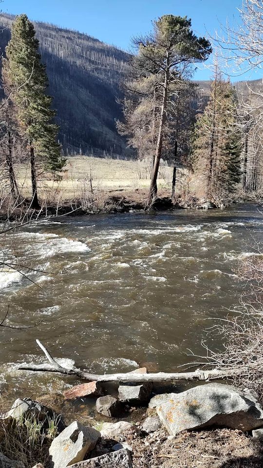 Remote and Cozy Mountain Cabin Nestled in the Poudre Canyon, Perfect for a Pet Friendly Glamping Retreat