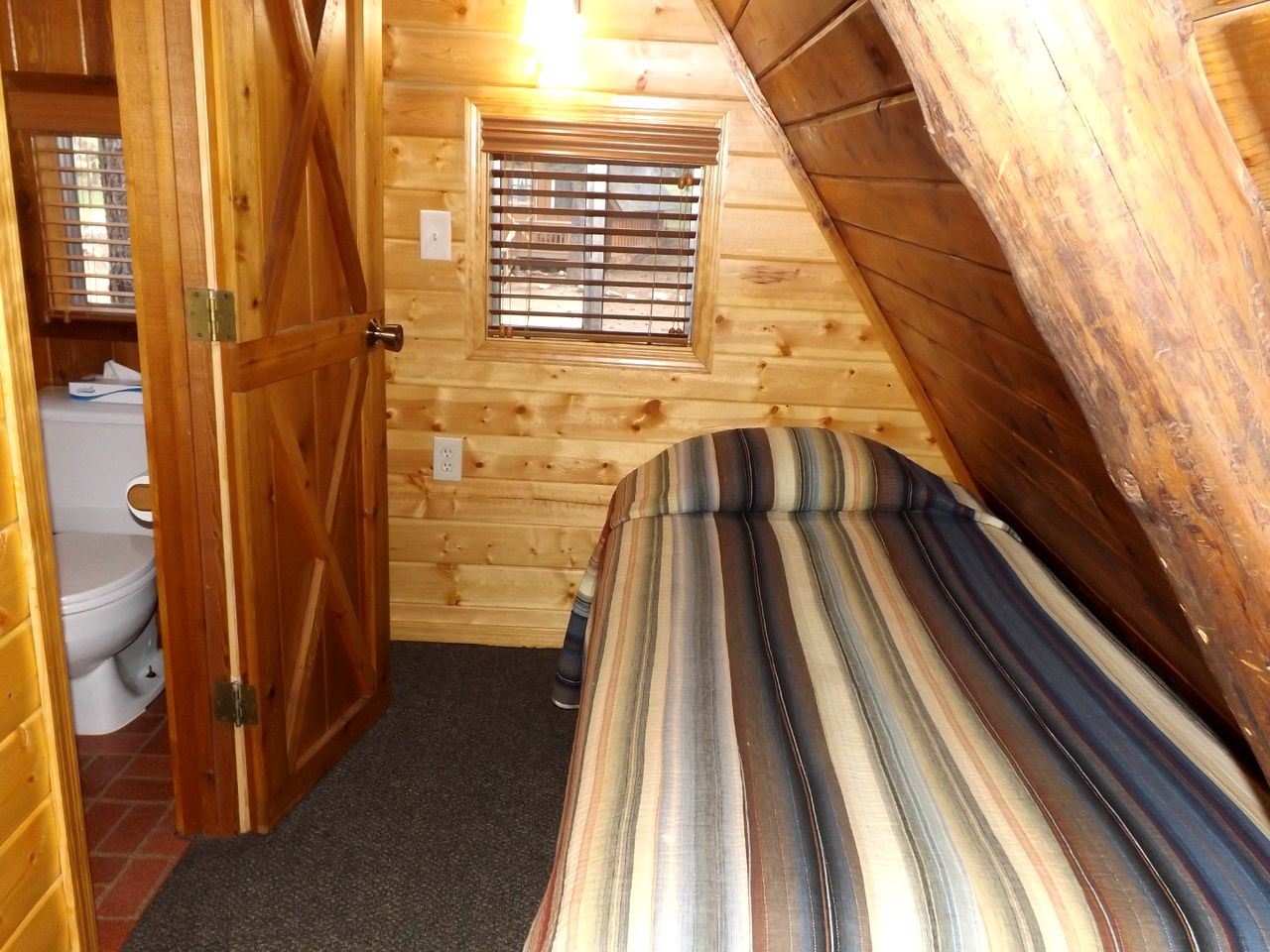 Awesome Cabin Nestled Among the Towering Trees in Arizona