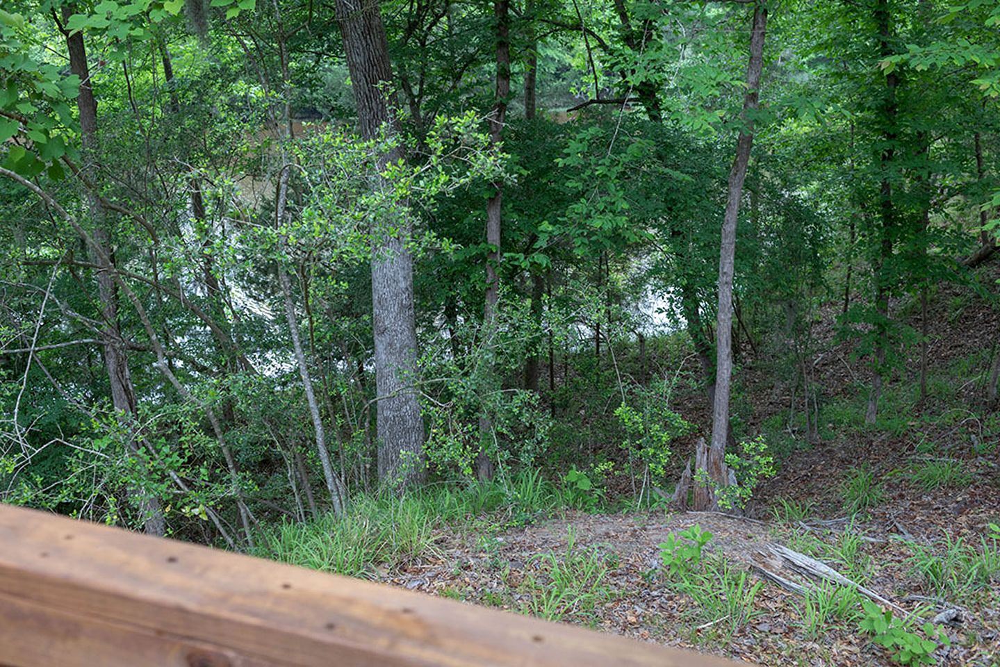Pet-Friendly Waterfront Cabin with Loft Interior in Livingston, Texas