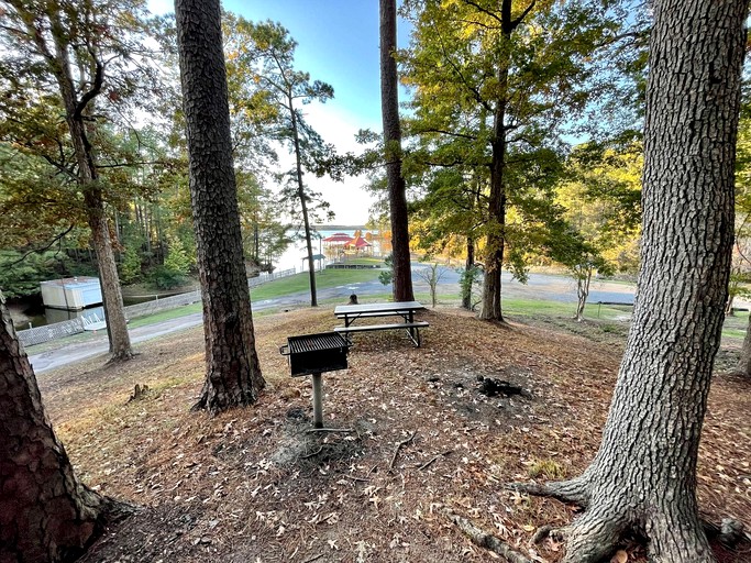 Cabins (United States of America, Zwolle, Louisiana)
