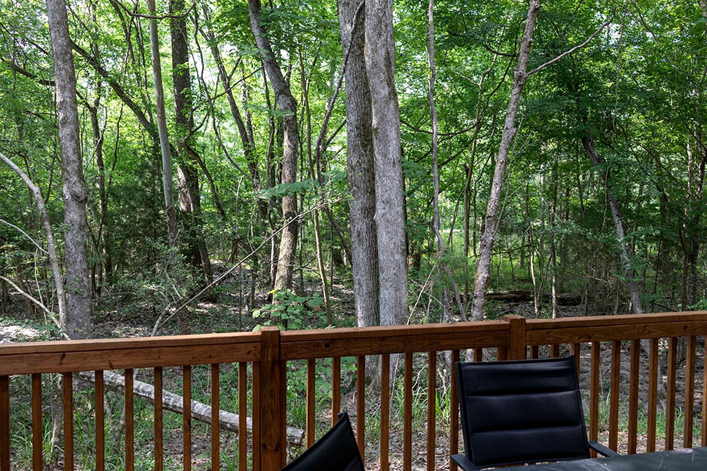 Deluxe Lofted Cabin Ideal for Families in Livingston, Texas