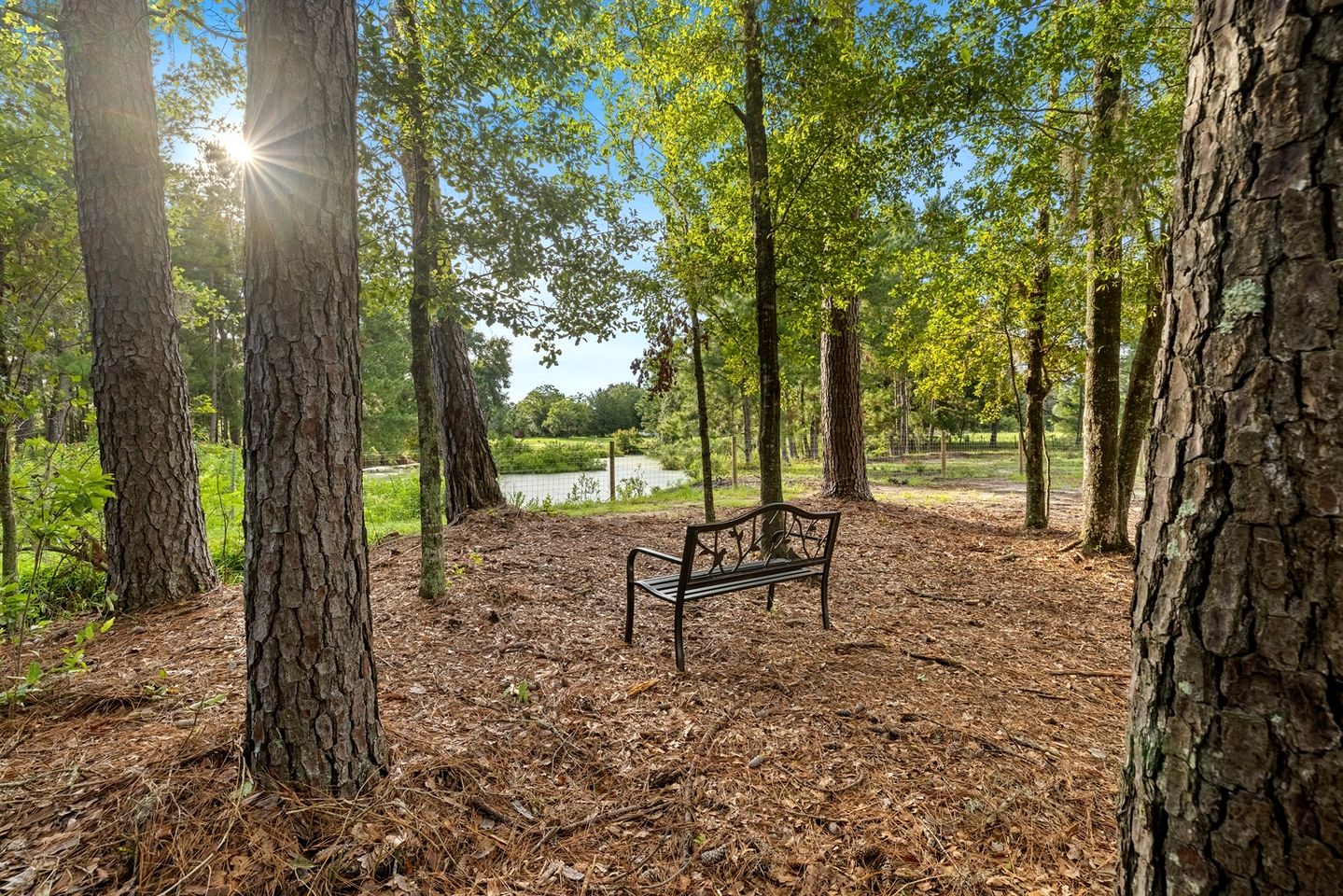 Relaxing and Fully Equipped Cabin in Lake City, Florida, near Ichetucknee Springs State Park