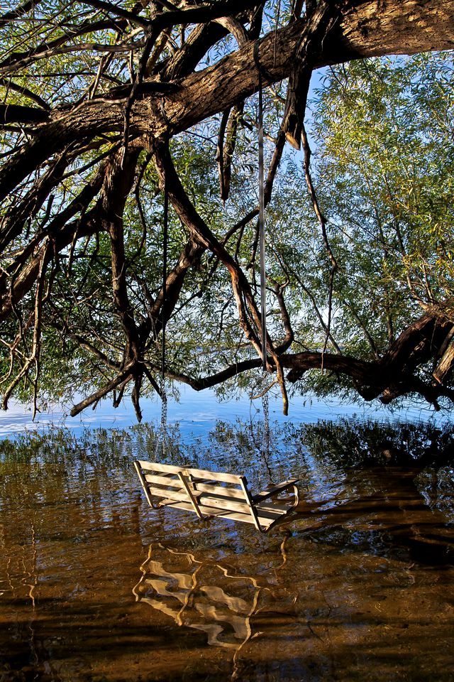 Fantastic, Cute, Lakefront Cabin in Carp Lake, Michigan