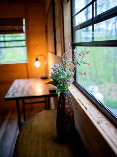 Cabins (United States of America, Sylva, North Carolina)