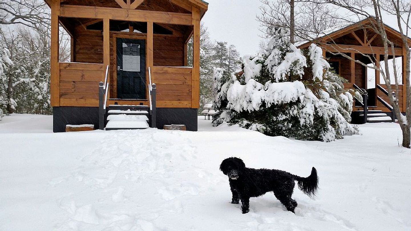 Cozy Dog-Friendly Glamping Cabin near Tryon International Equestrian Center