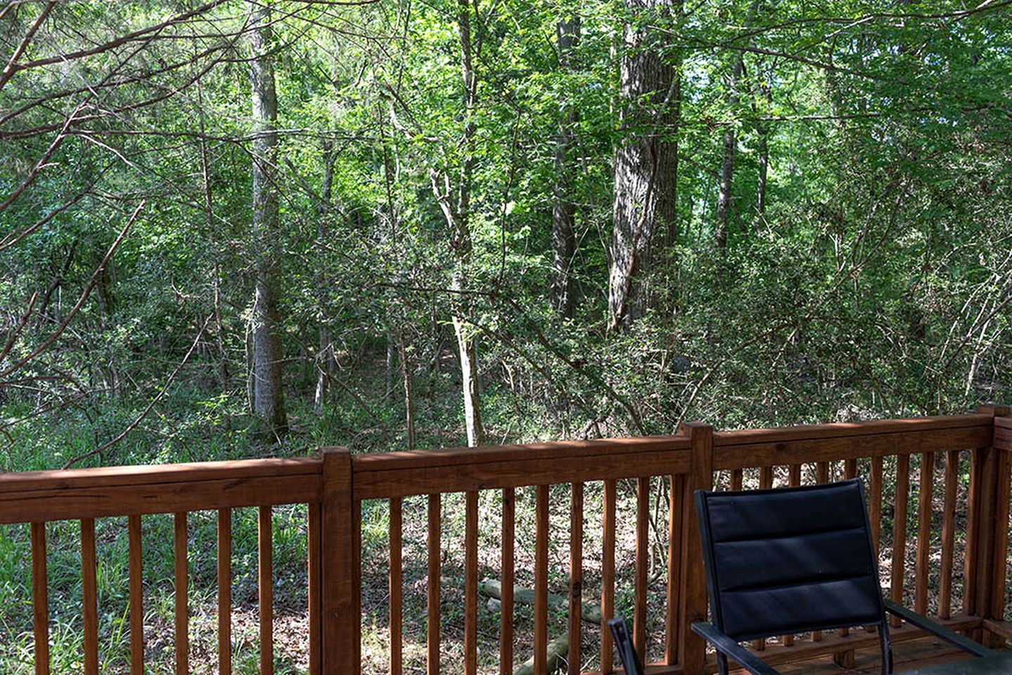 Picturesque Cabin Beautifully Designed in Livingston, Texas