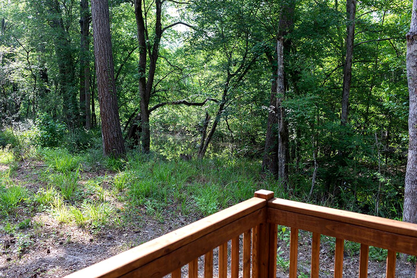 Fantastic Tranquil Cabin with Barbecue in Livingston, Texas
