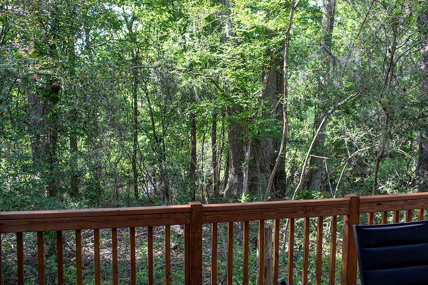 Quaint Cabin Ideal for a Secluded Getaway in Livingston, Texas