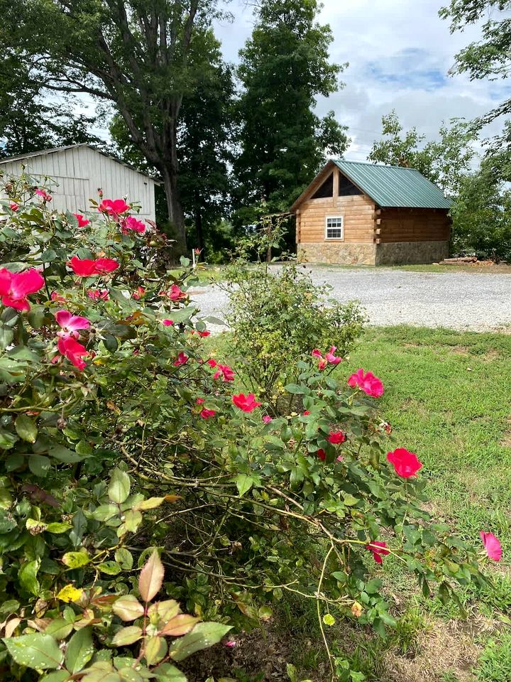 Cozy Log Cabin near Cumberland Lake State Park, Perfect for an Outdoor Adventure