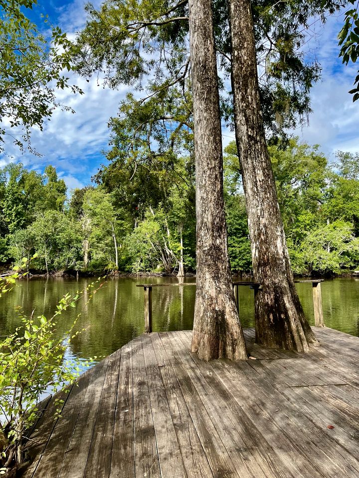 Lush Riverside Cabin Retreat Near Chipola River, Florida