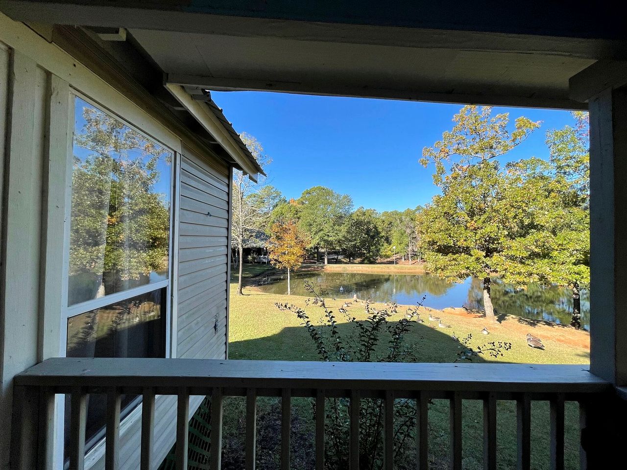 Charming Waterfront Cabin with Private Stocked Pond near Zwolle, Louisiana