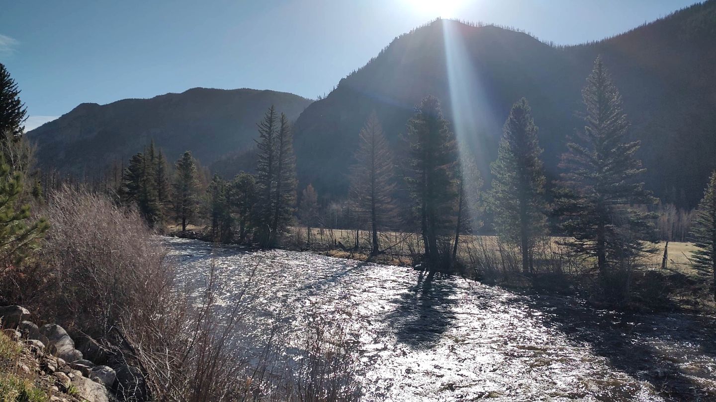 Homey, Pet Friendly Cabin near Lory State Park in Poudre Canyon, Colorado