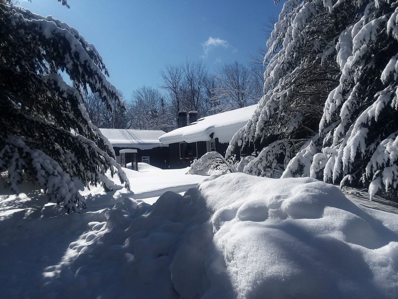 Rustic Rental in Blue Mountain Lake, New York