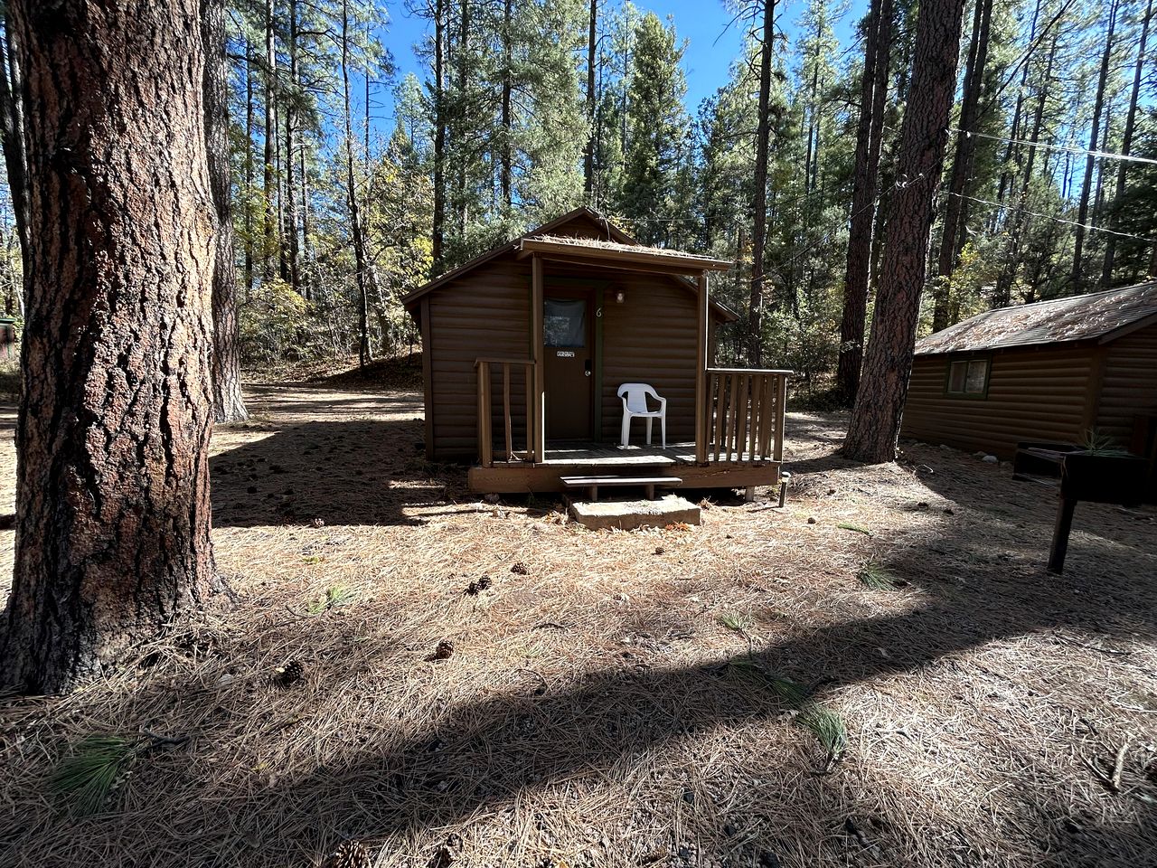 Peaceful and Pet Friendly Studio Cabin in Payson, Arizona, Perfect for a Glamping Weekend