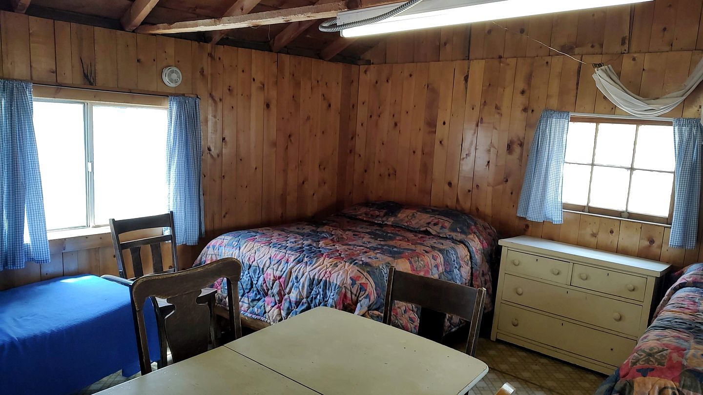 Cozy, Pet Friendly Cabin Deep in the Mountains for a Serene Getaway of Wilderness and Wildlife