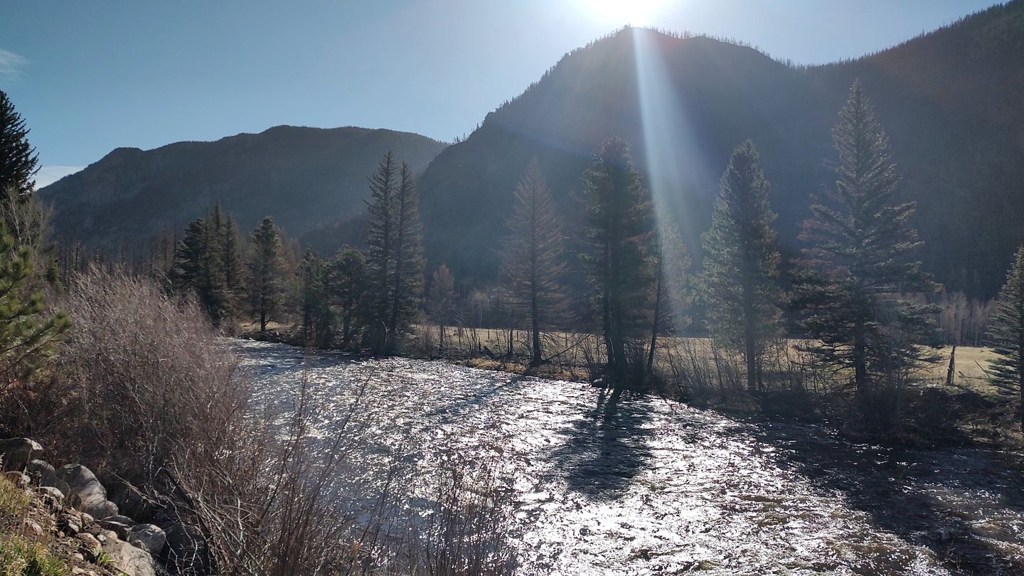 Cozy, Pet Friendly Cabin Deep in the Mountains for a Serene Getaway of Wilderness and Wildlife