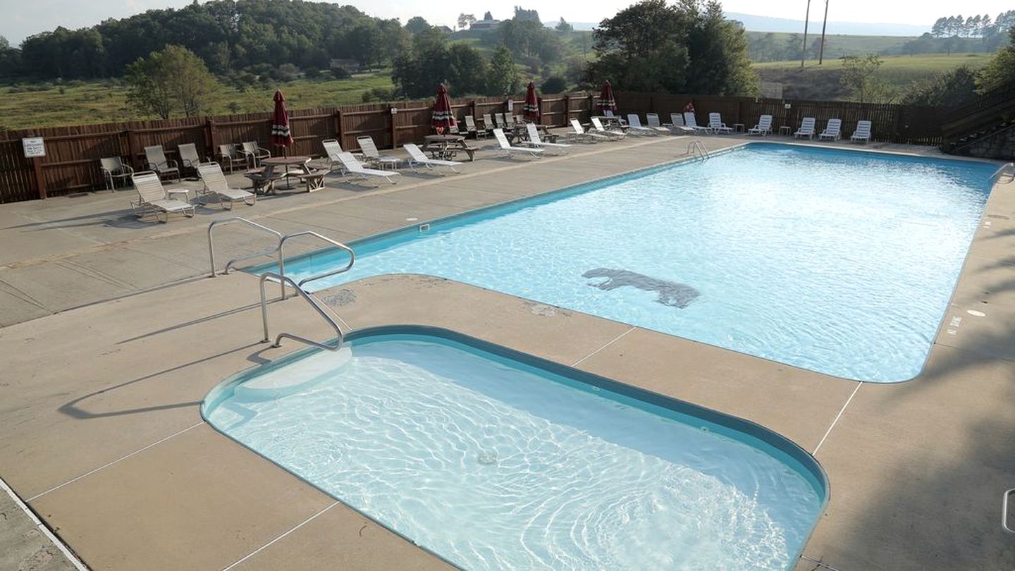 Cabin 78 Black Bear Resort Rest Assured, Log Cabins, Davis, United