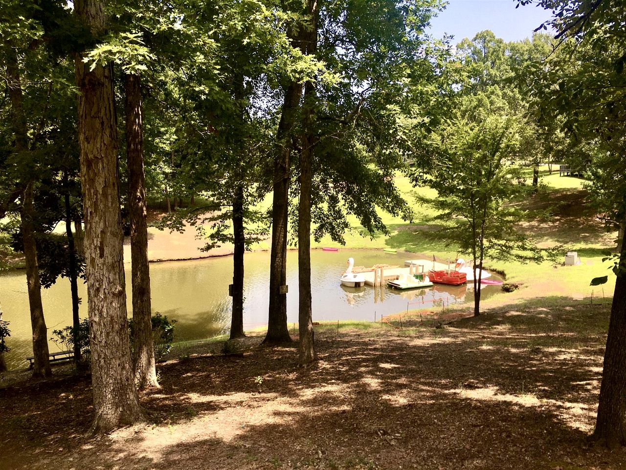 Spacious Waterfront Cabin with Stocked Pond Views & Resort Amenities near Zwolle, Louisiana