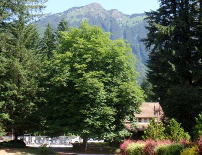 Cabins (Snowline, Washington, United States)