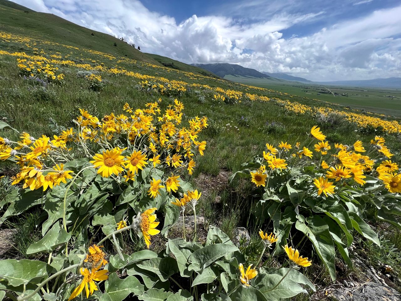 Secluded Cabin Rental with Gorgeous Views near Ennis, Montana