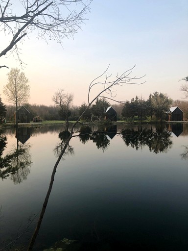 Vacation Rentals (United States of America, --, --)