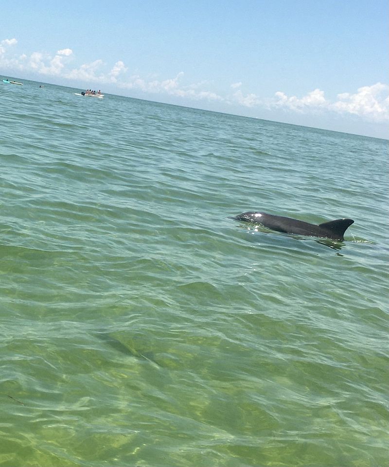 Incredible Cottage with Fantastic Sights in Weeki Wachee, Florida