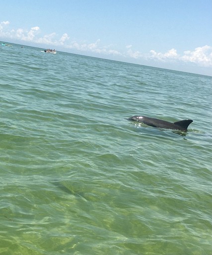 Cottages (United States of America, Weeki Wachee, Florida)
