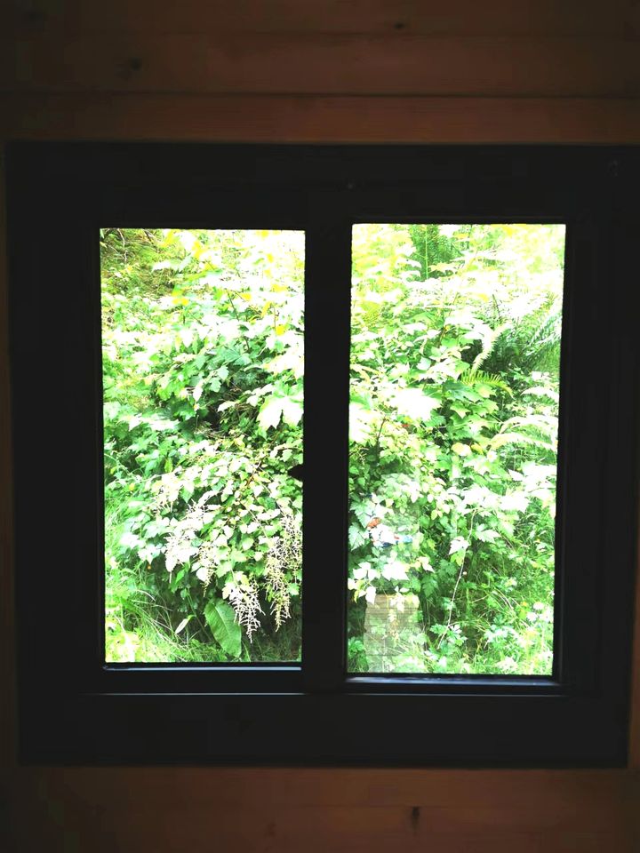 Enjoyable Cabin Surrounded by Trees in Nanaimo, British Columbia