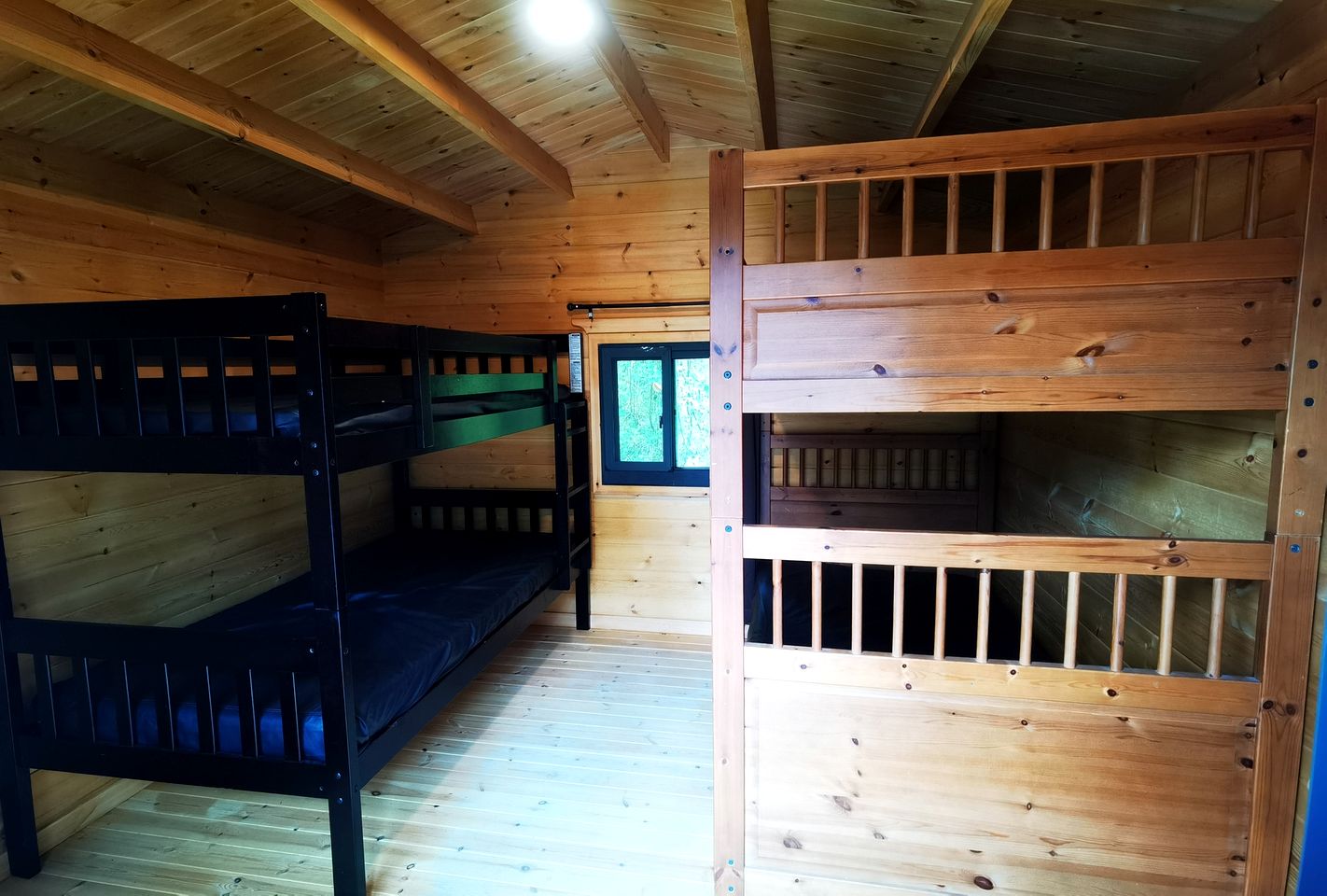 Beautiful Cabin with Stunning Forest Vistas in Nanaimo, British Columbia