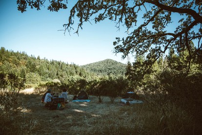 Cabin Camping Rental with Private Pond in Mendocino County, California photo 5