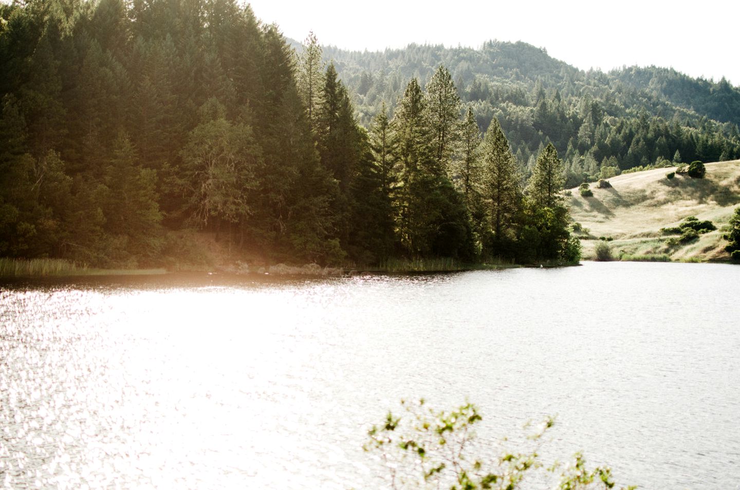 Cabin Camping Rental with Private Pond in Mendocino County, California