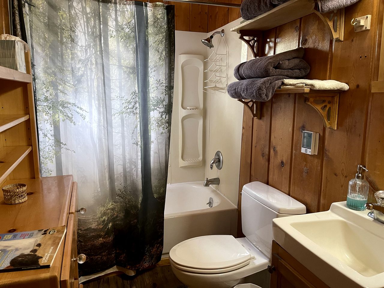 Cozy Secluded Cabin Surrounded by Trees near Yellowstone, Idaho