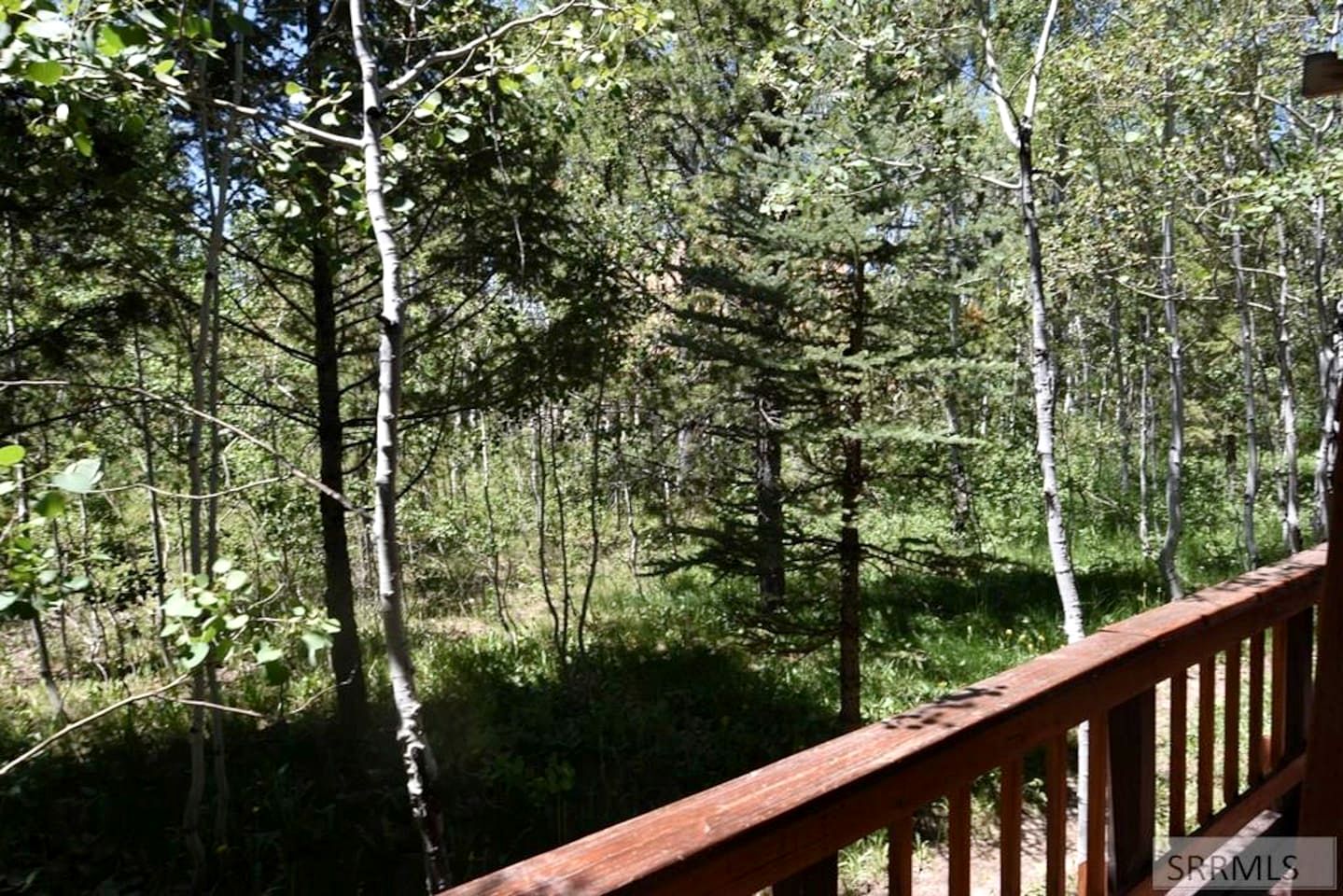 Cozy Secluded Cabin Surrounded by Trees near Yellowstone, Idaho