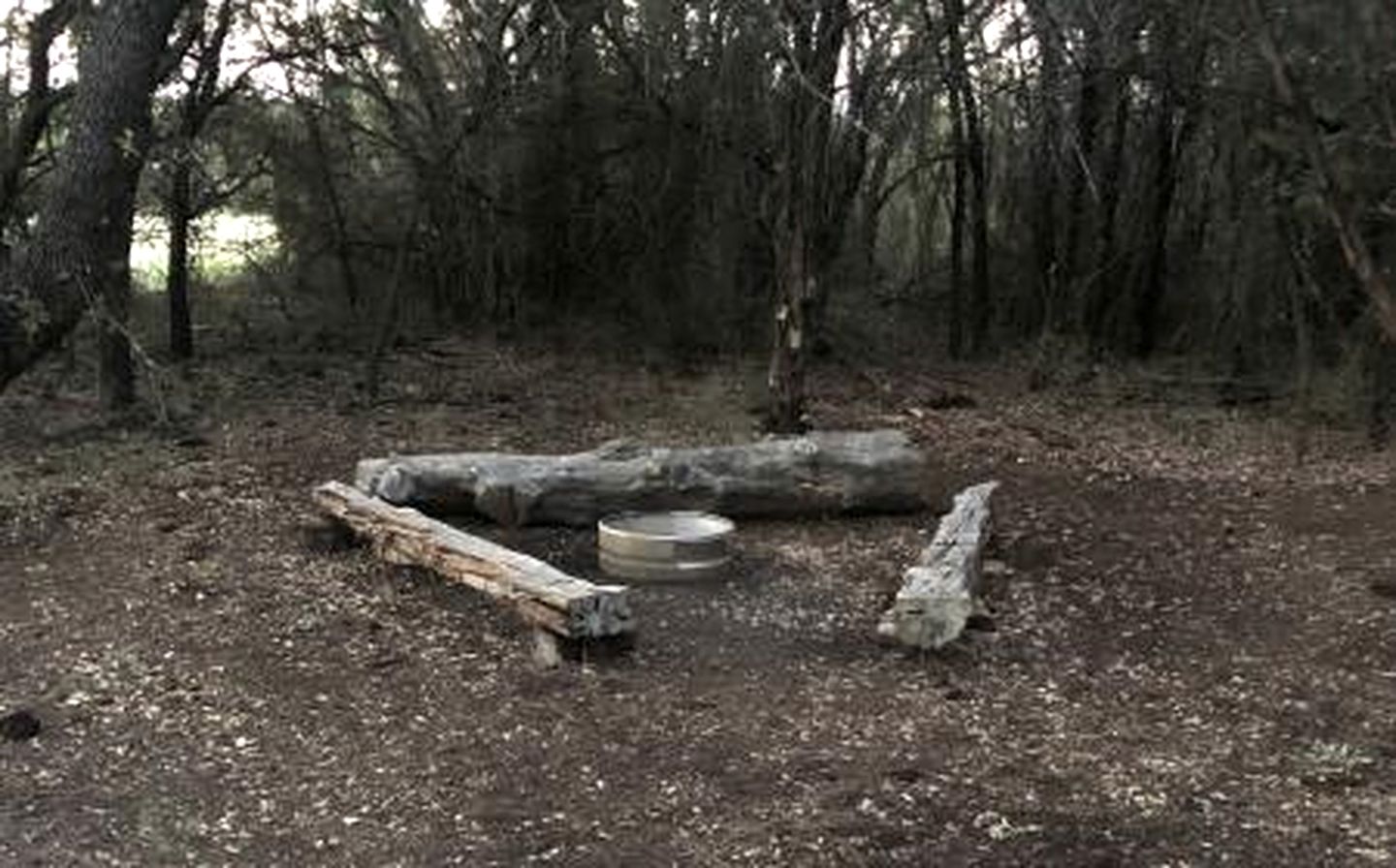 The Renegade in Bluff Dale, TX