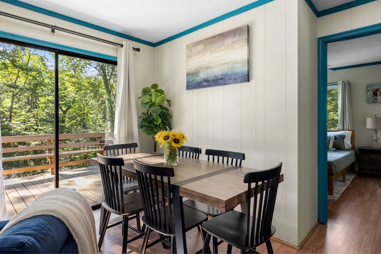 Cabin (United States of America, Mount Jackson, Virginia)