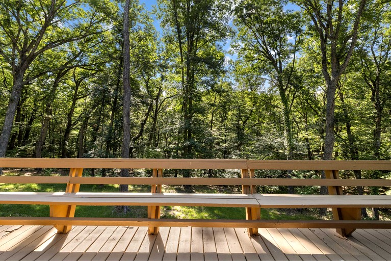 Cabin (United States of America, Mount Jackson, Virginia)
