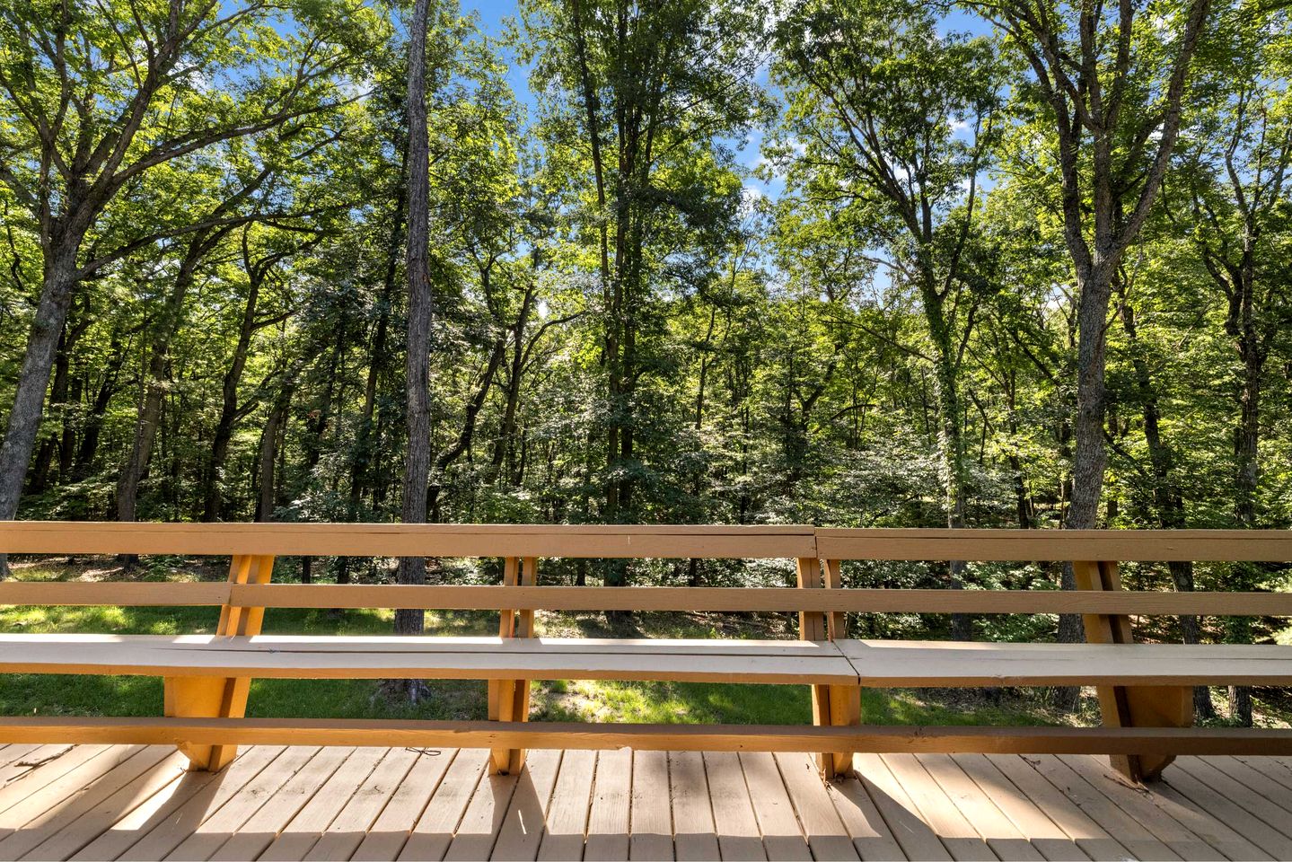 Secluded Pet Friendly Wooden Cabin in Mount Jackson, Virginia