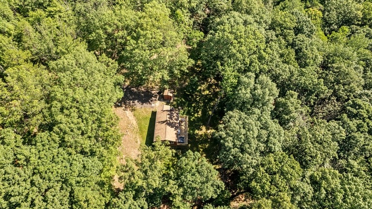 Cabin (United States of America, Mount Jackson, Virginia)